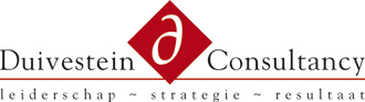 Duivestein Consultancy logo